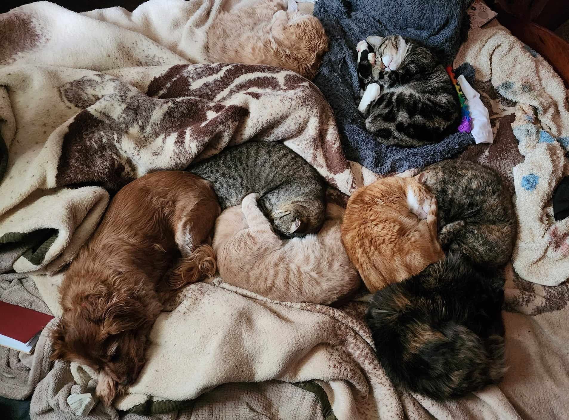 Sure, I make my bed every morning.