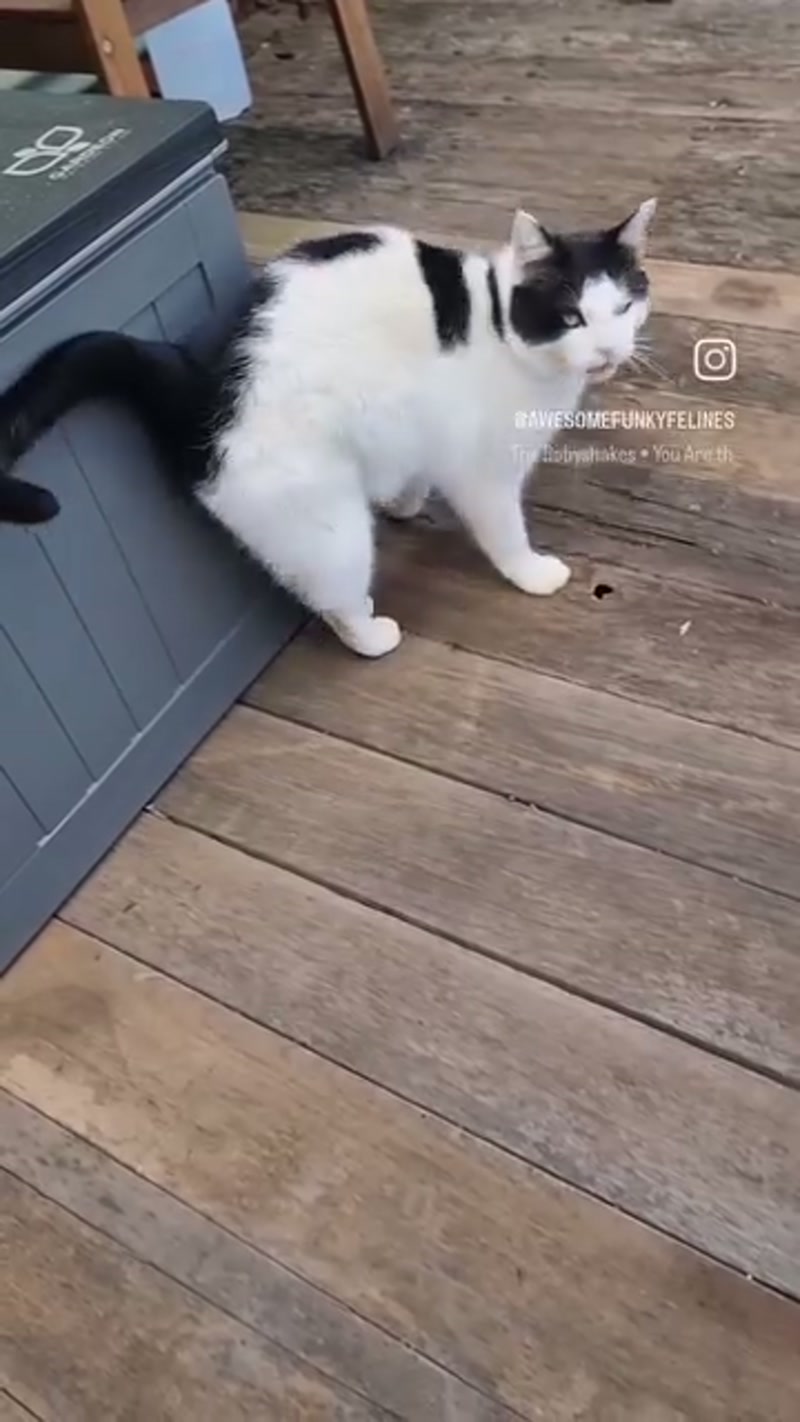 Found some forgotten footage of Ned ð¤