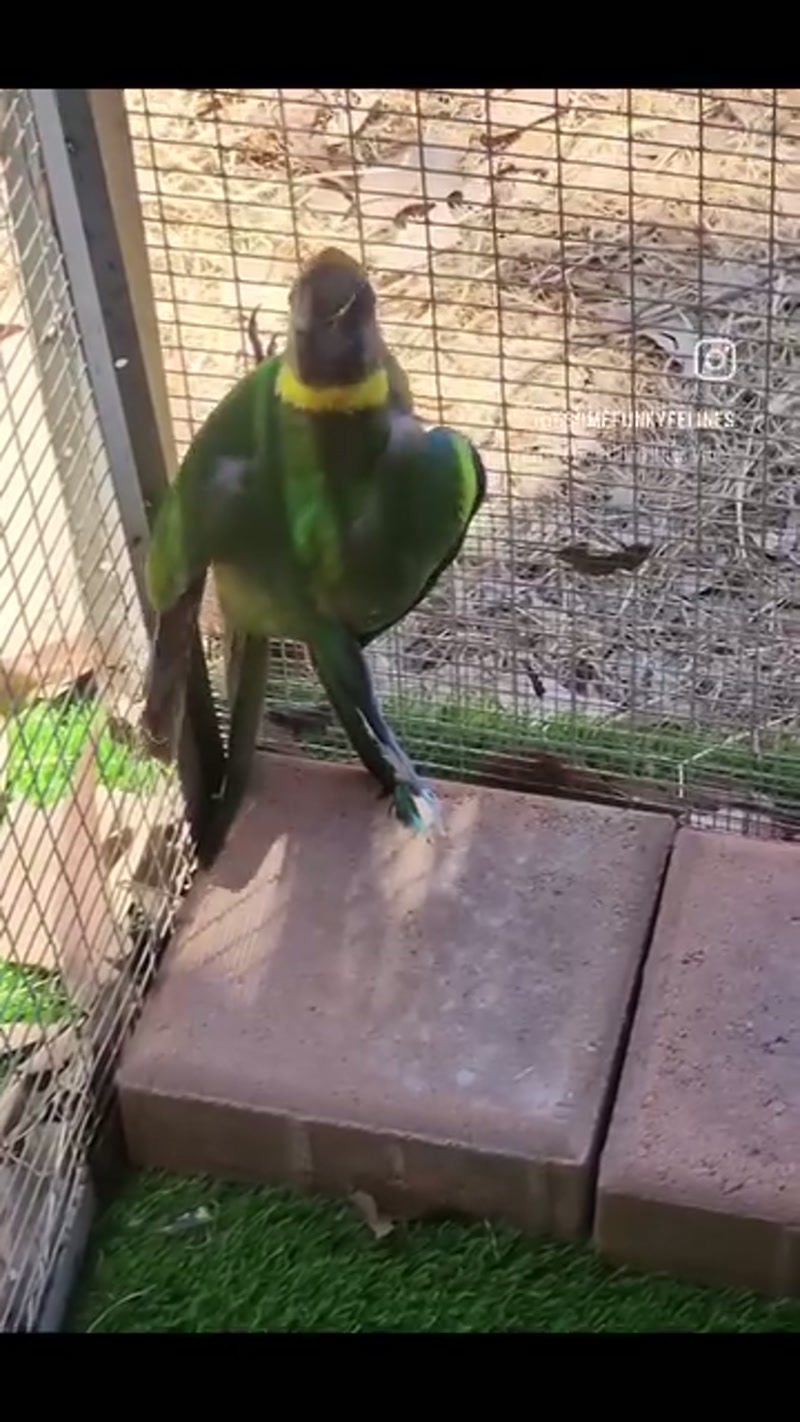 Some Christmas coloured vibes… ð¦
