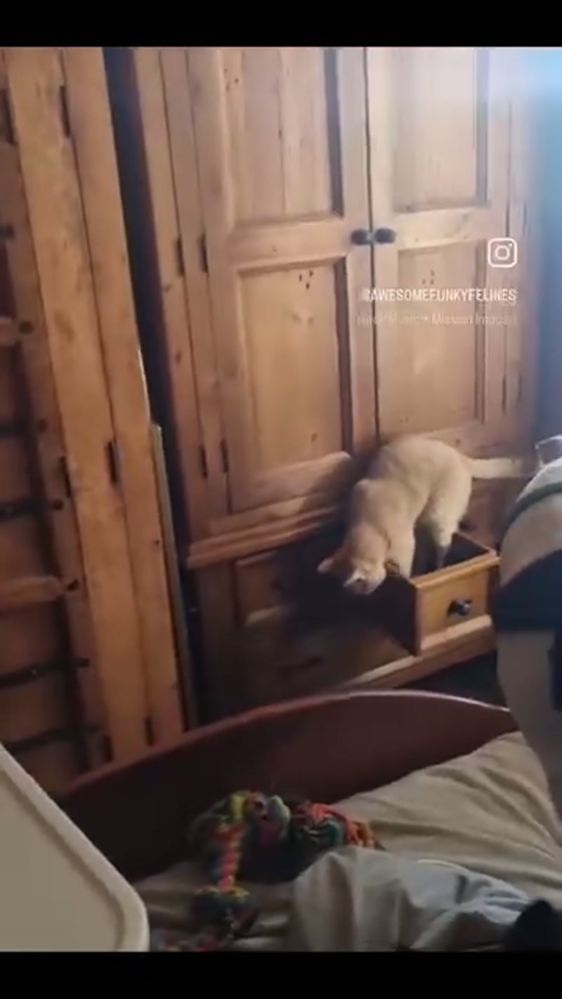 When the underwear drawer is Mission Impossible