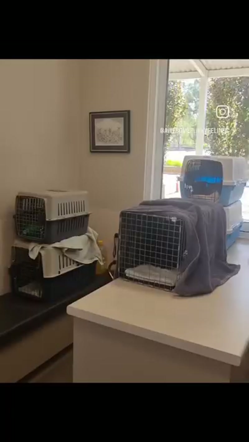 Vet visit… ð©ââï¸