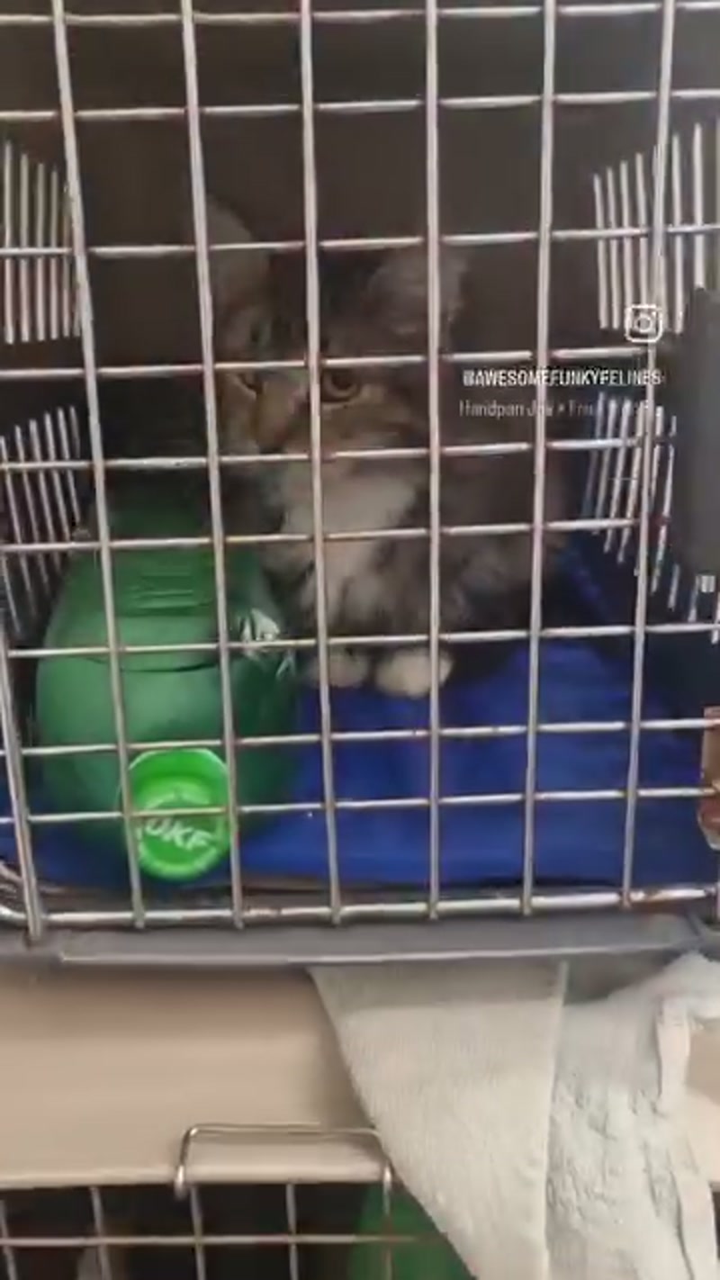 Wednesday's vet trip continued… ð©ââï¸
