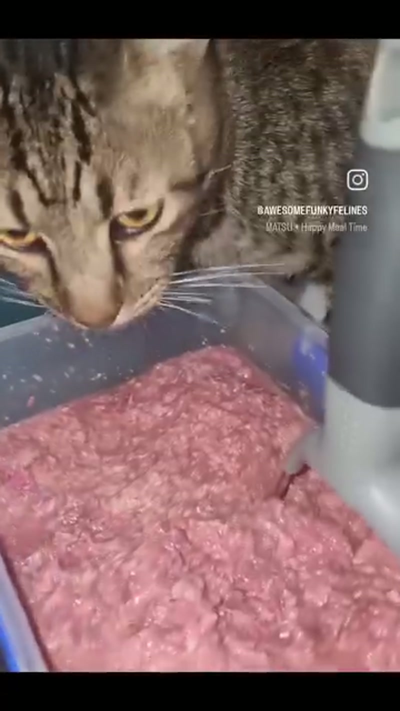 Jones in the kitchen? ð²