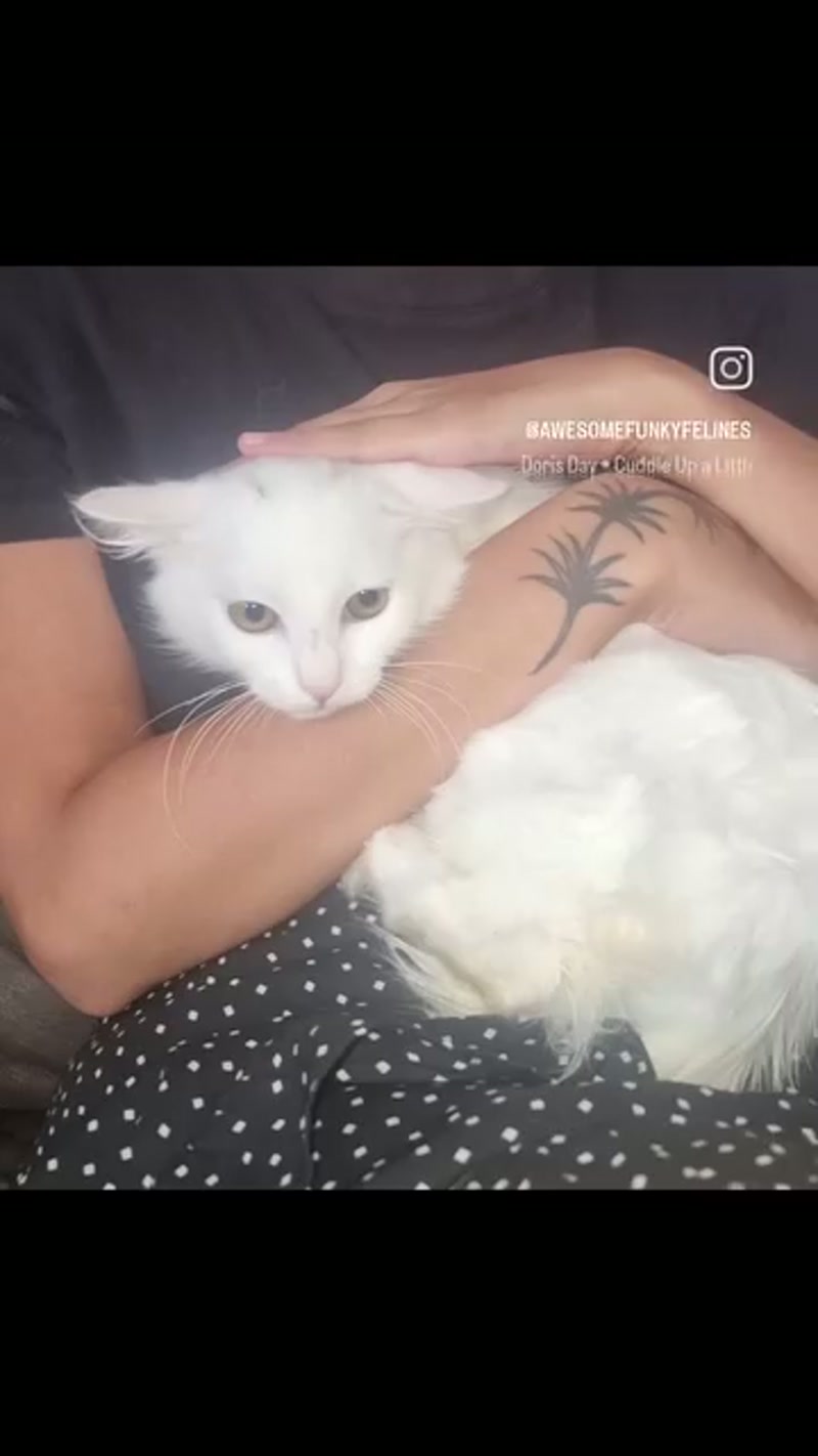 Lunabelle learning to snuggle… ð¤ð¤