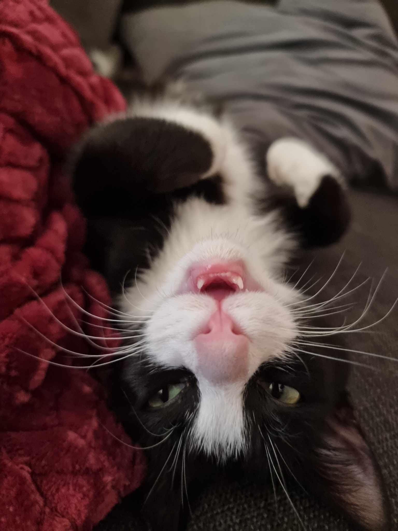 Check out Donnie in his new home! ð¤