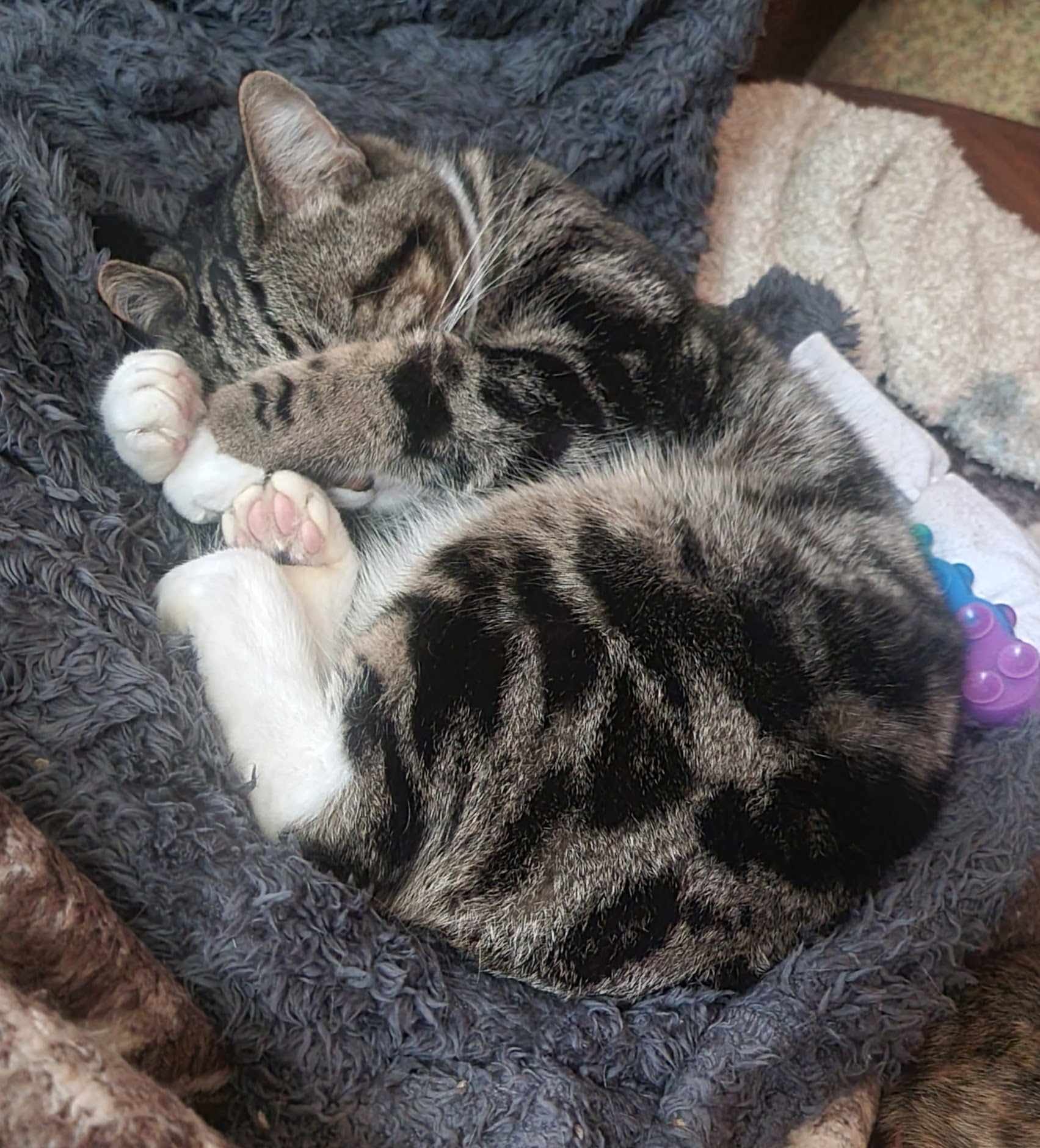 #FridayFeels  ð´
