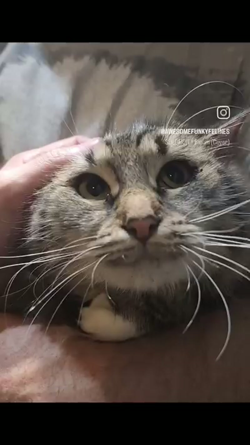 A shy little sugar angel… ð