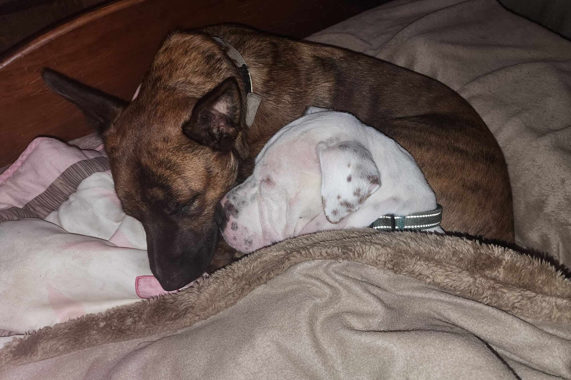 It's so peaceful when they're asleep ð