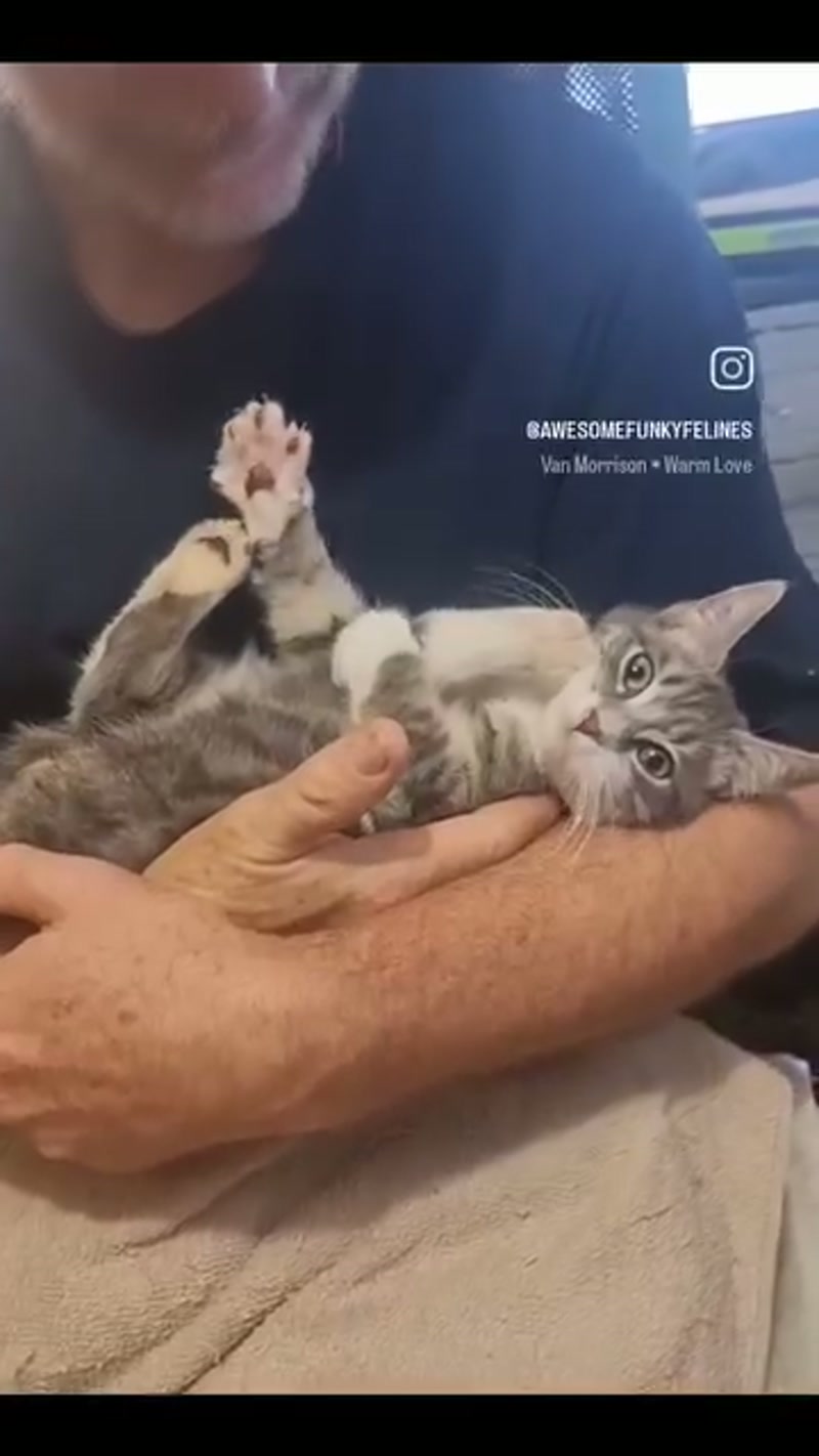 Awww Fred, STOP IT! ð¥°