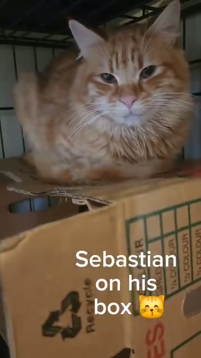 Sebastian update ð§¡