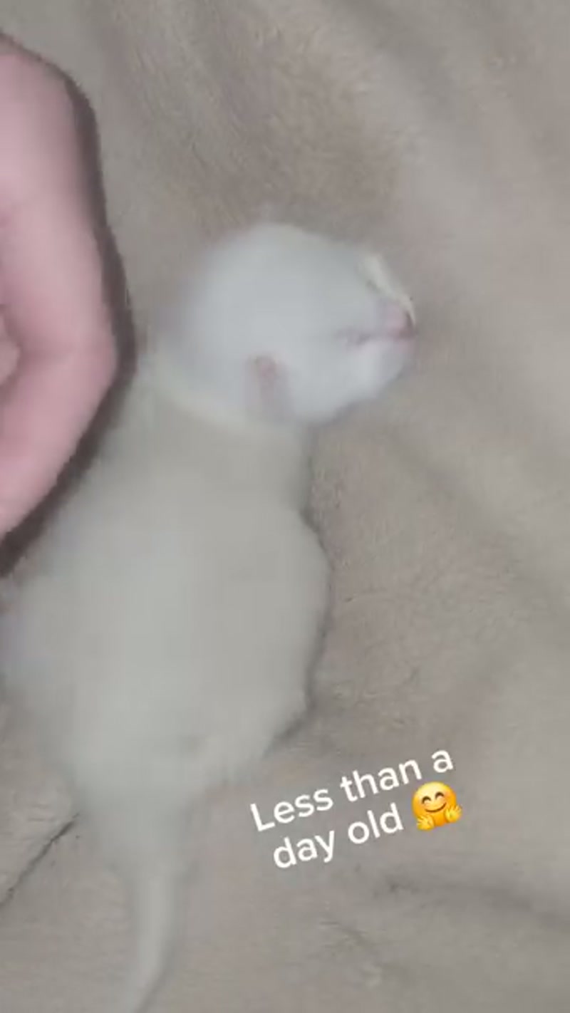 Sorry about the fuzzy footage folks ð¤·