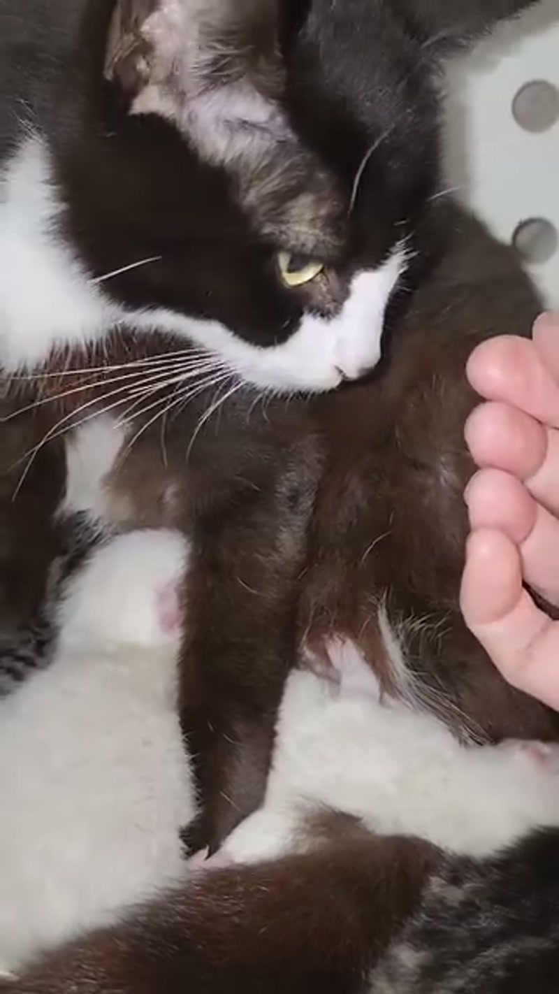 Tuxlette deserves a post of her very own!