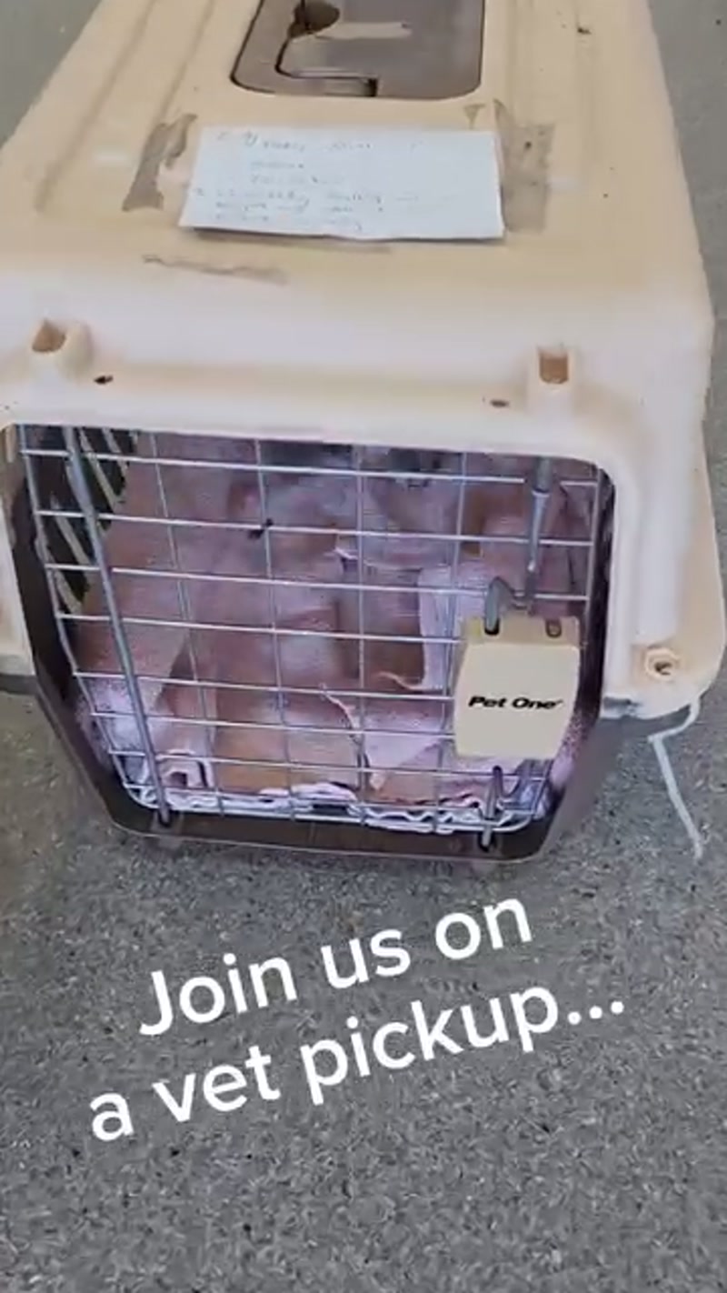 Keeping the wheels of #rescue moving…