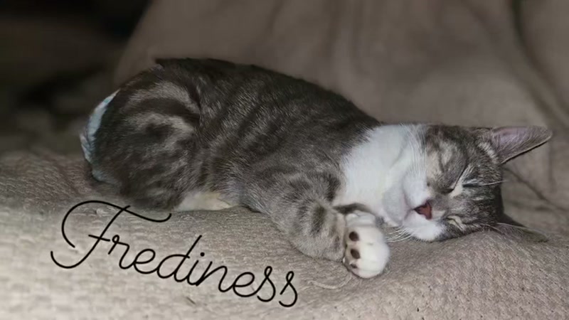 When he's out, he's out like a light ð