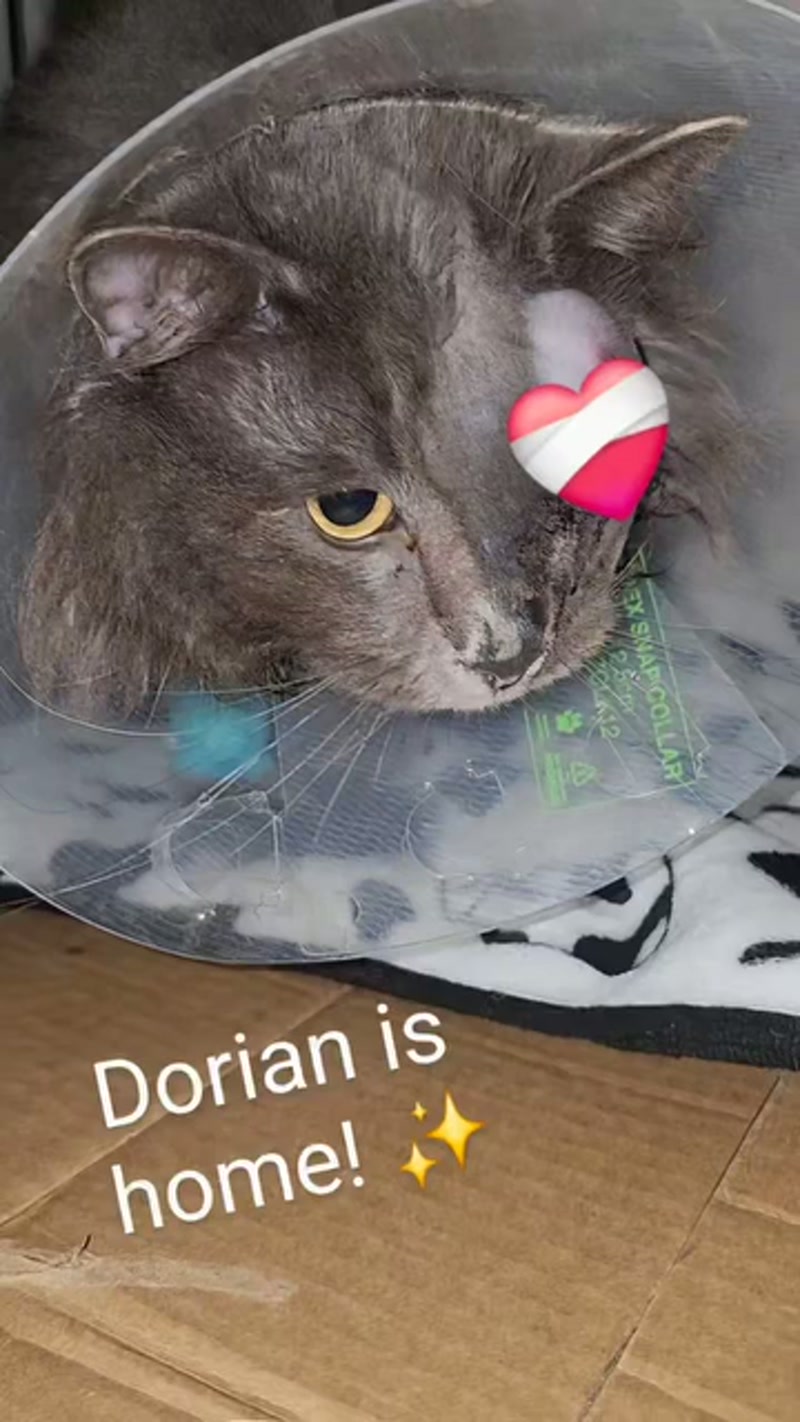 Dorian update… â¨