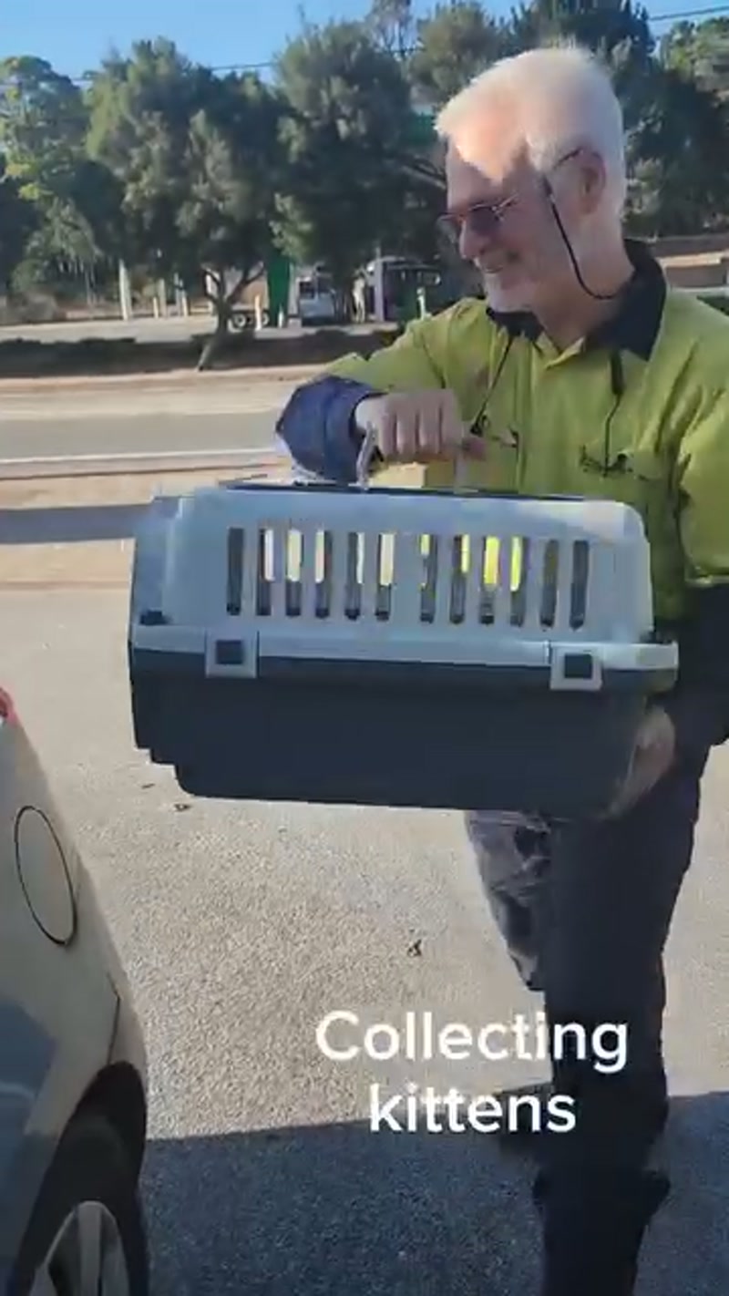 Collecting kittens on the go… ðð¨ð¨