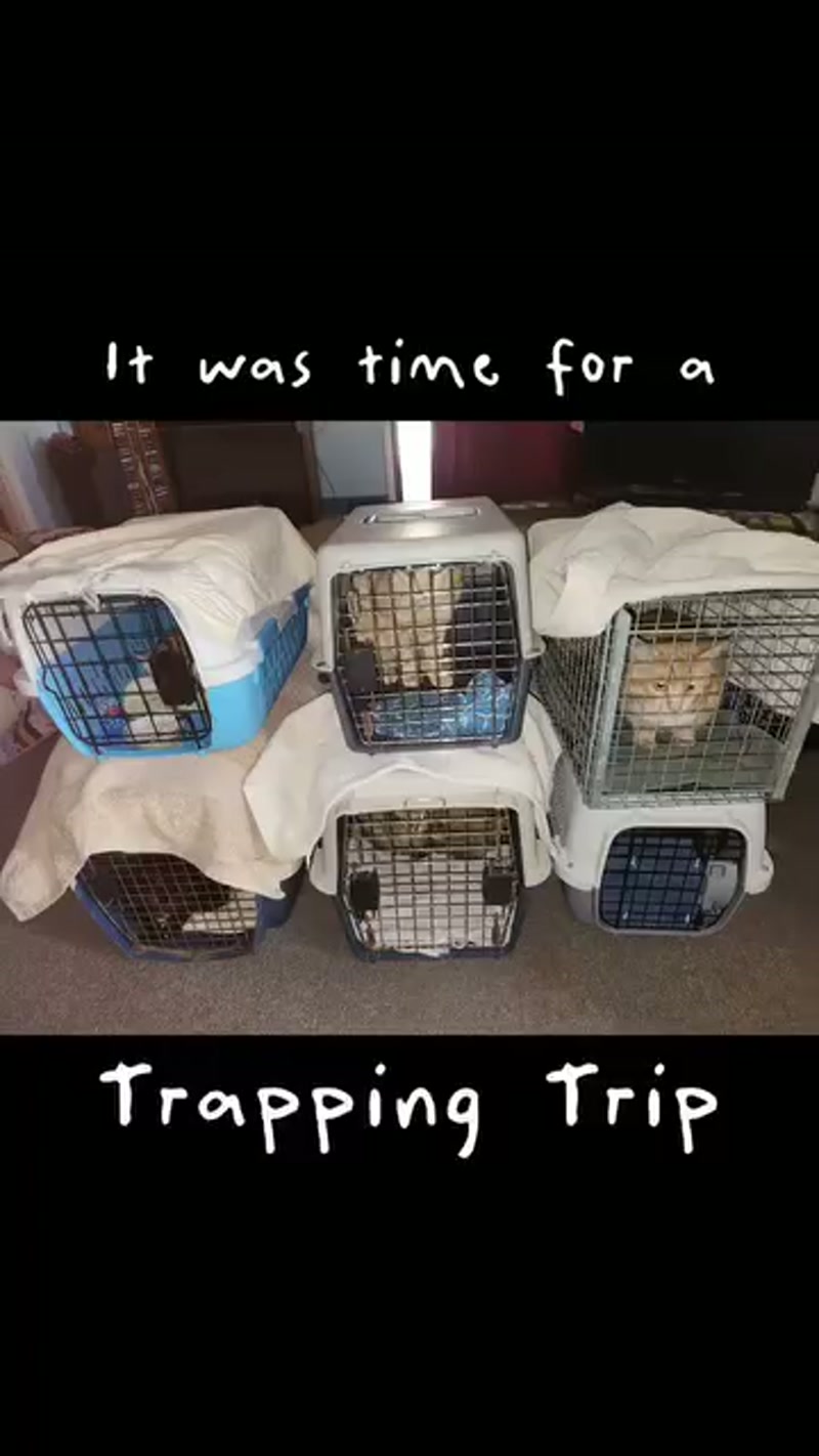 A trap in time saves nine…