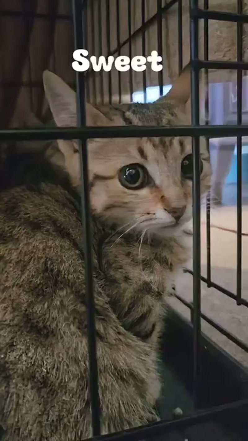 When you're born in the roof… ð¥º