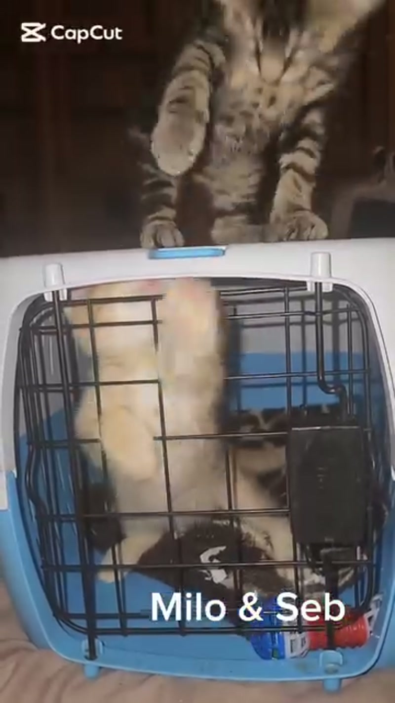 What on earth is going on here? ð