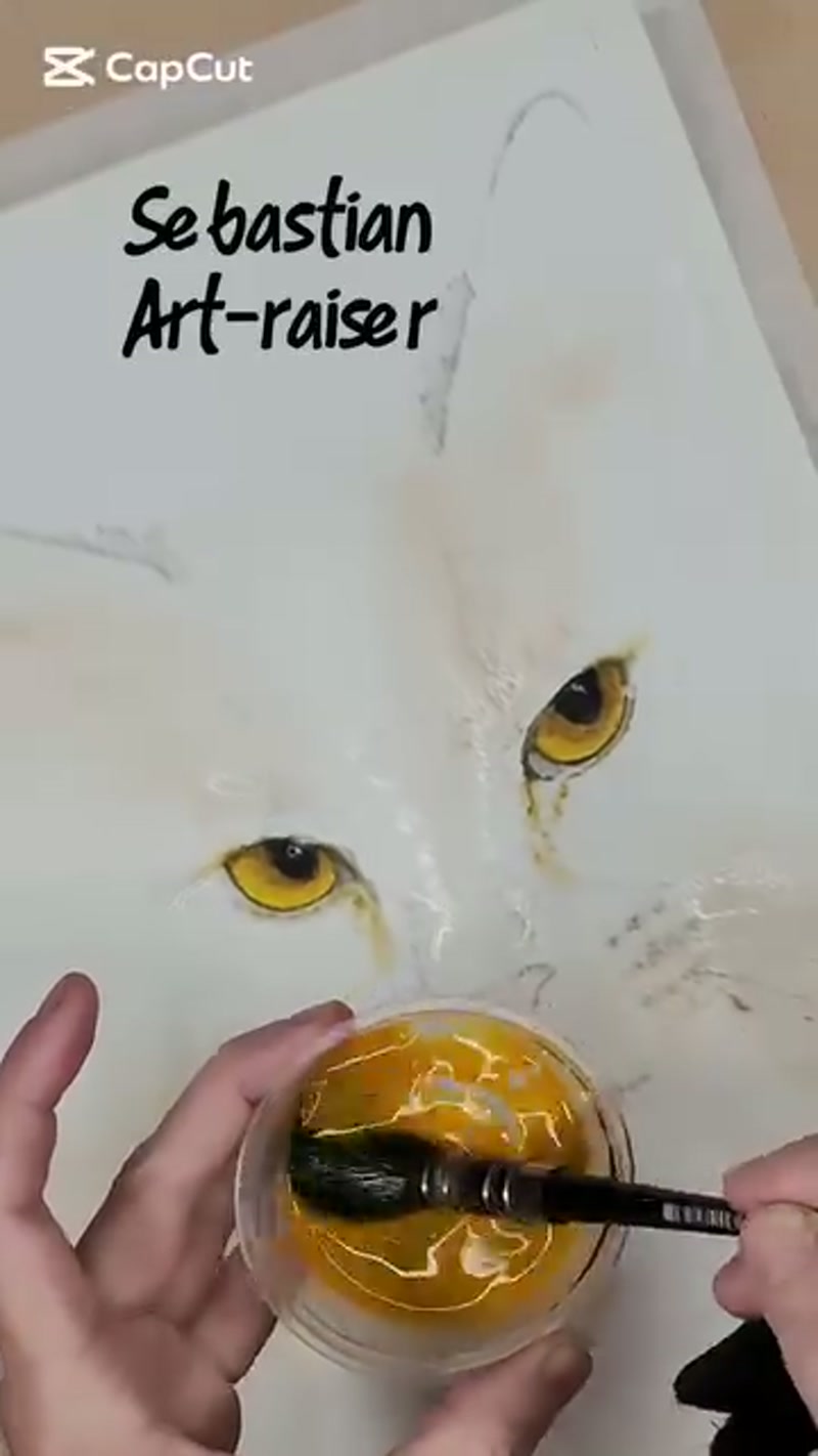 Sebastian Art-raiser… ðï¸