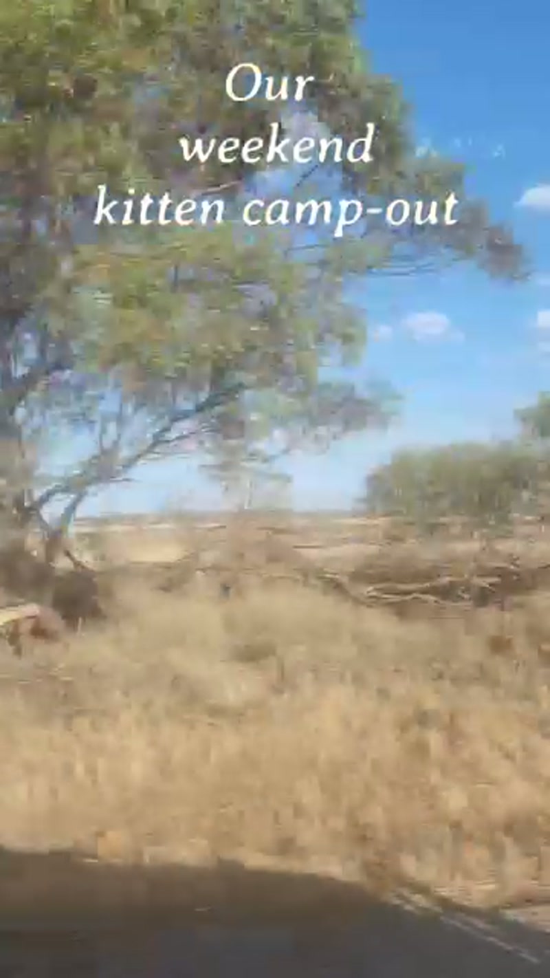Second trapping trip was a big bust! ð¿