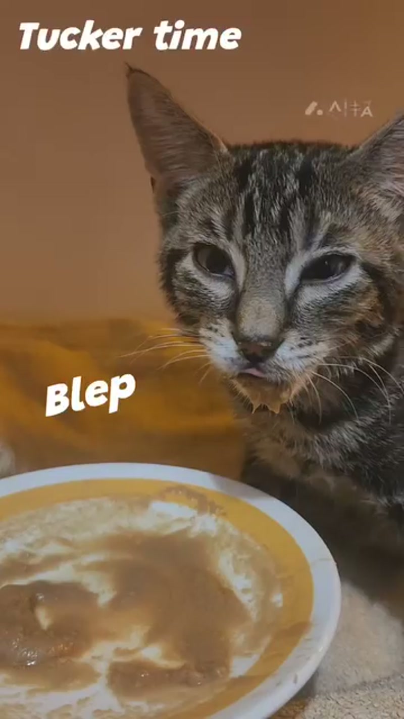 Monday Milo update… â