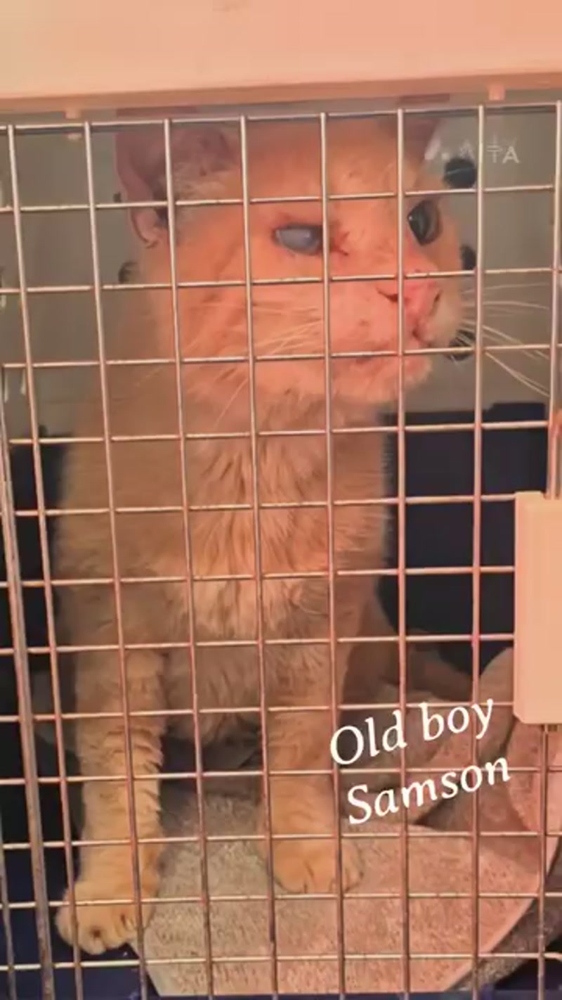 Check out this super old guy… ð§¡