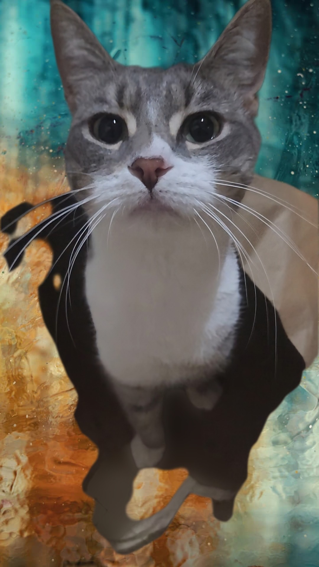 The Fredster in a paper bag
