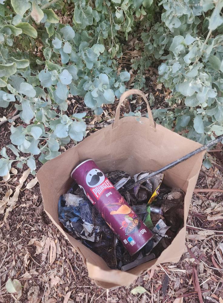 TRASH - Image from 2025-04-17