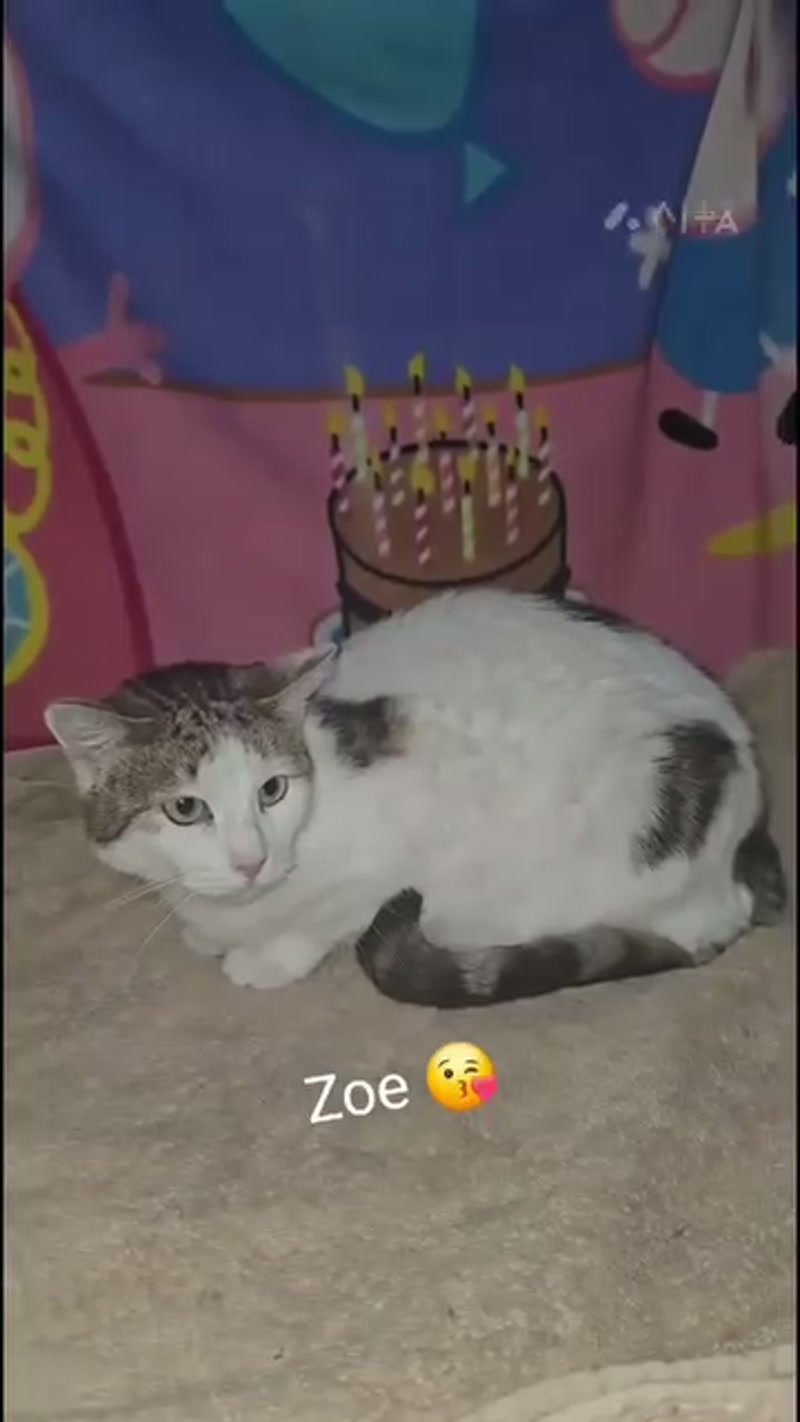 Zoe's come a LONG way… ð