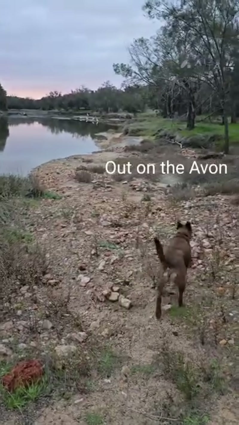 Beauty of the Avon River… ð