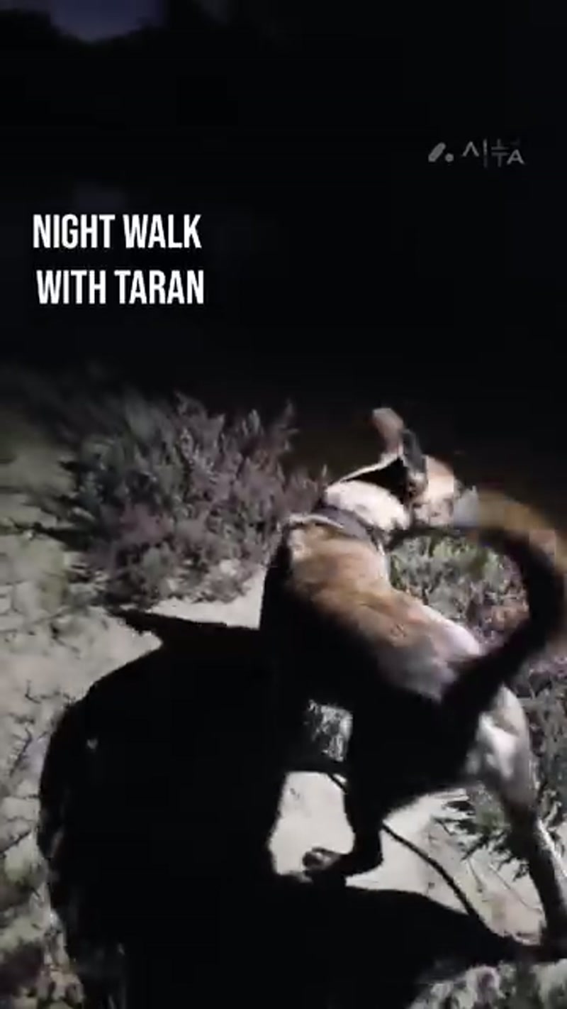 Taran, trash and WHERE is Poppy? ð¤·
