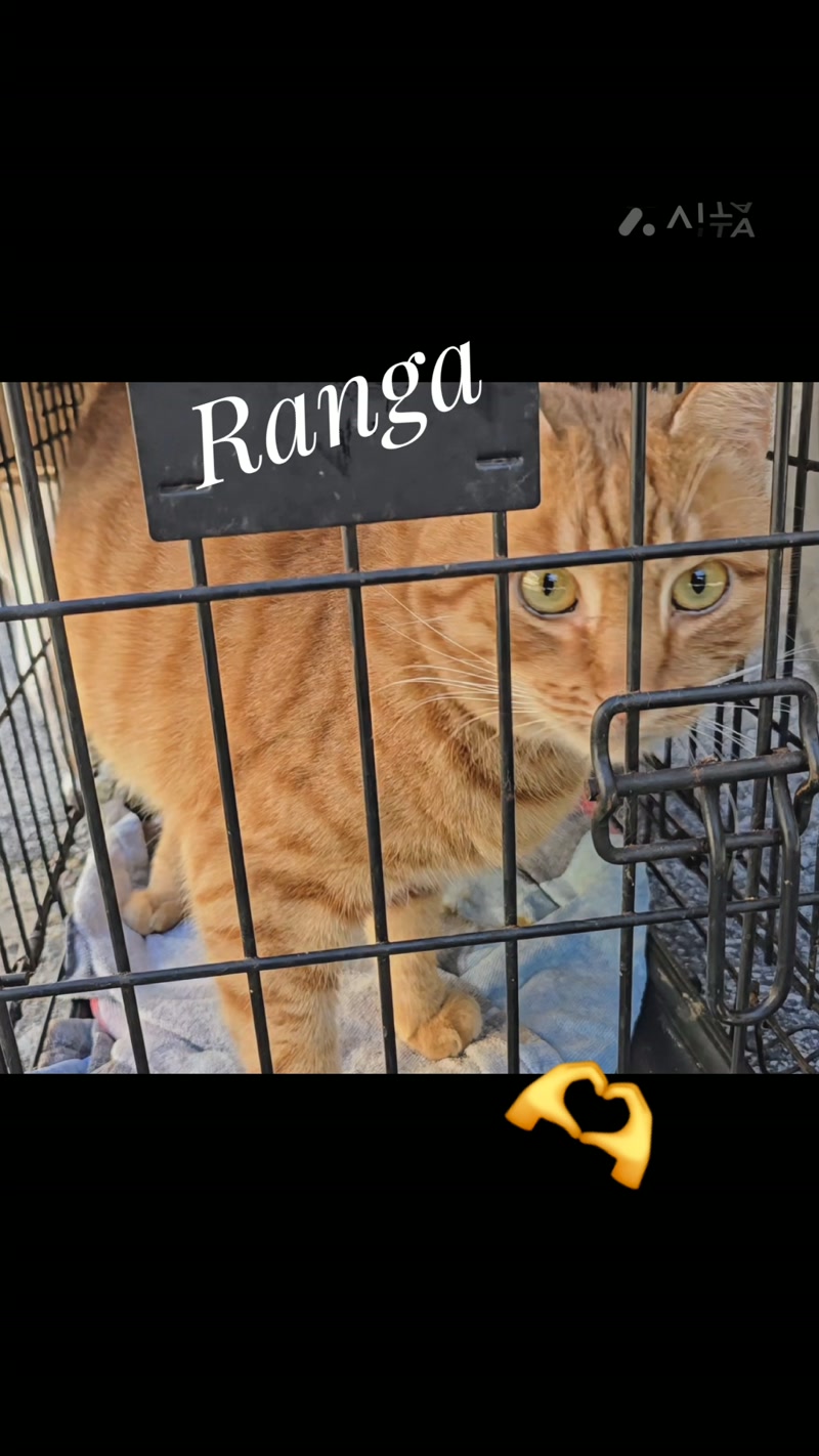 Ranga and a drum roll plzzz… ð¤©