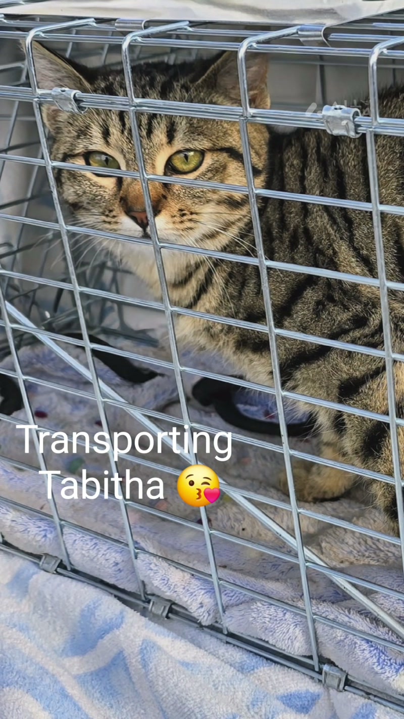 Hello Tabitha! ð
